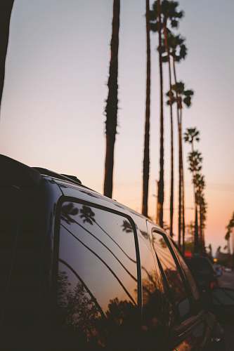 united states silhouette of tree and vehicle car